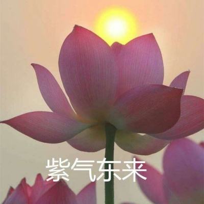 剑御修仙手游下载